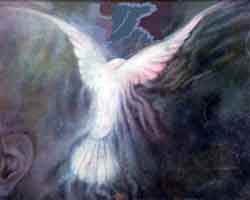 colomba_libera