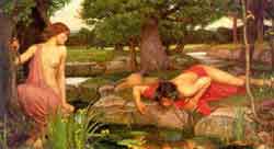 narciso