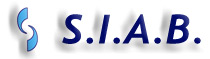 logo_siab